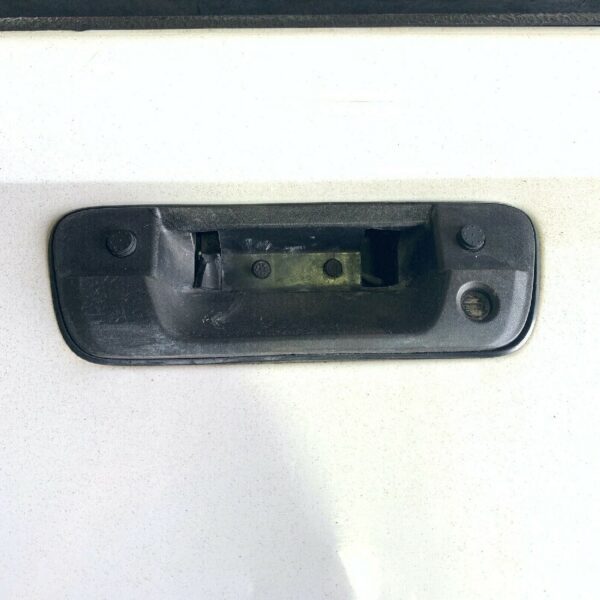 2012 CHEVY COLORADO TAILGATE WITHOUT HANDLE - Image 3